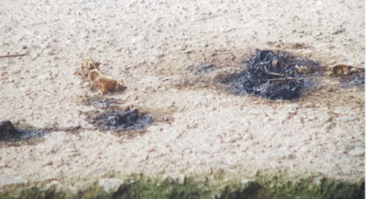 image00002.jpg