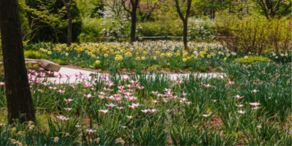 image00003.png