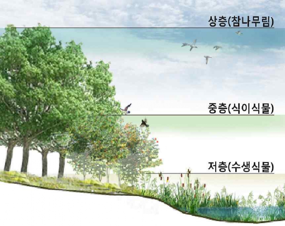 그림11 다층구조모식도.jpg