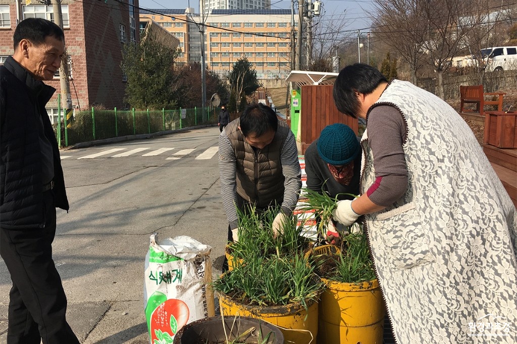보리1.jpg