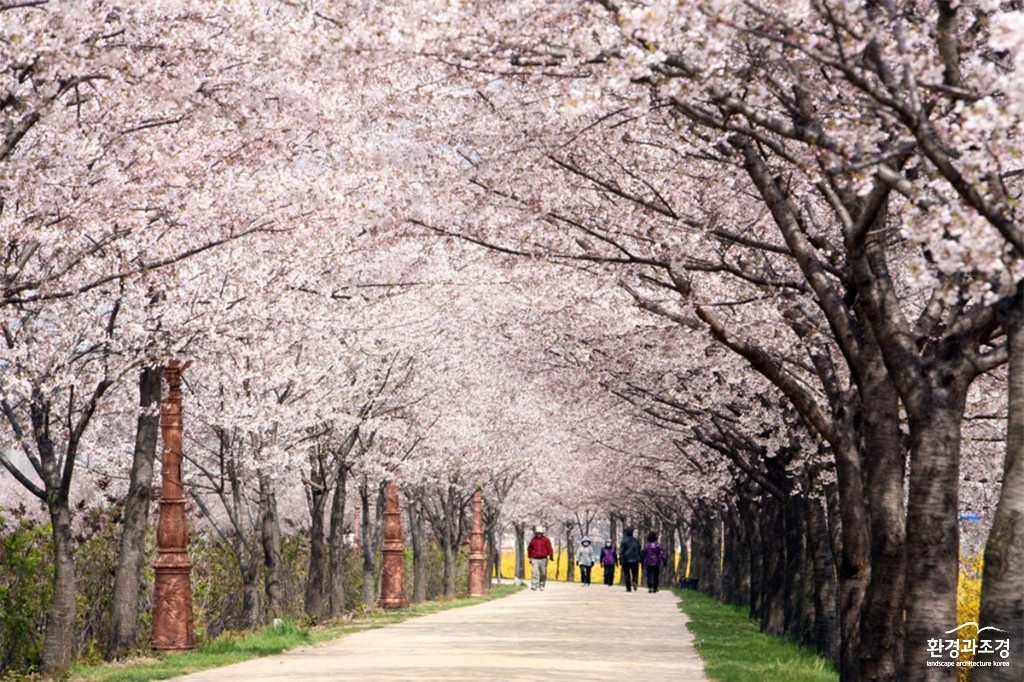 꽃길1.jpg