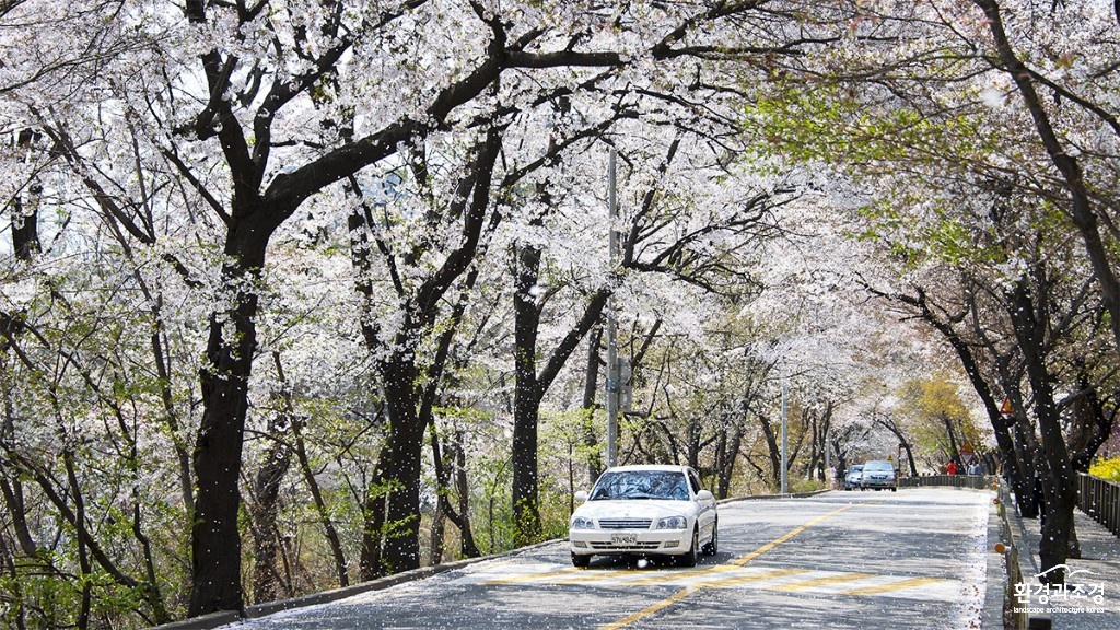 꽃테마1.jpg