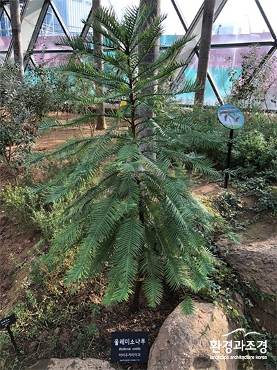 과기대1.jpg