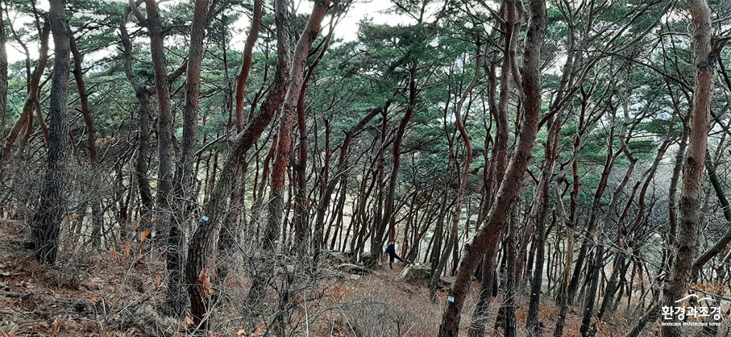 수원1.jpg