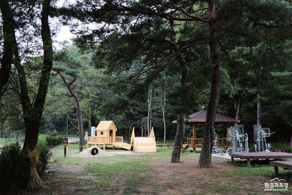 소나무밭.jpg