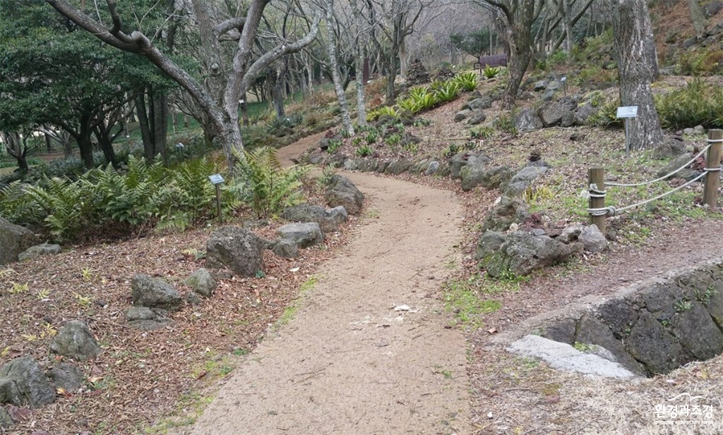 제주1.jpg