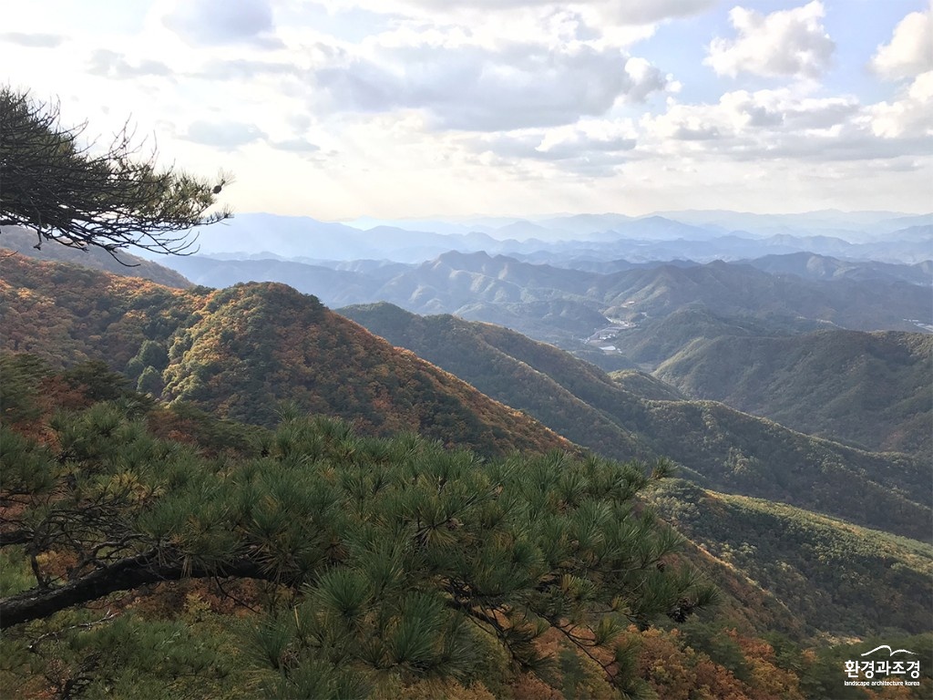 태화산1.jpg