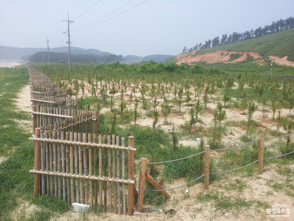 (사진)‘버려진 땅’ 산림탄소상쇄 등록지로 변신-1(원산도).jpg
