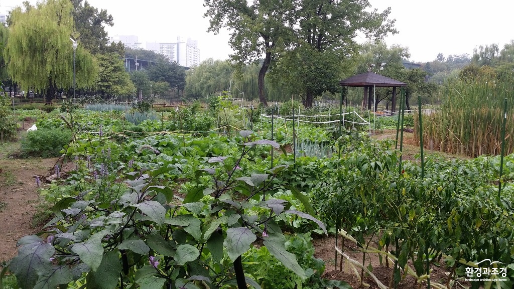 용산가족공원 텃밭4.jpg