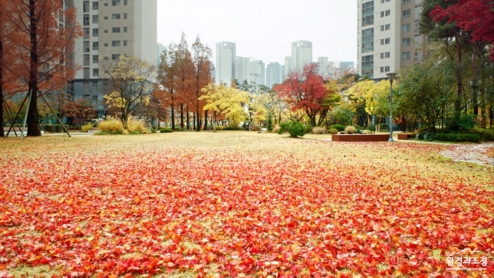 송도가을풍경__1.41.0.jpg