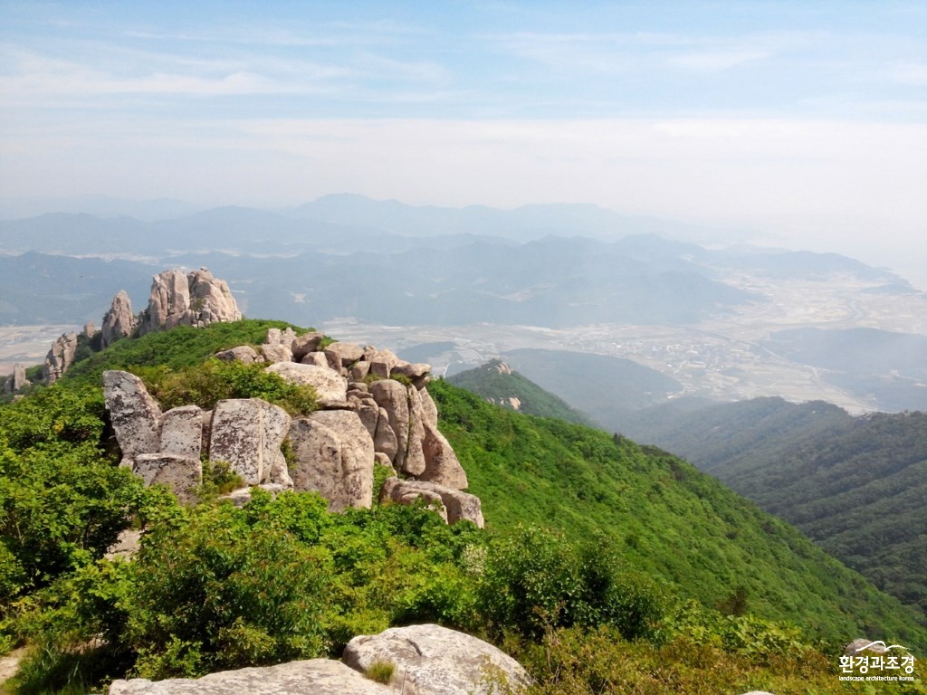 사진2. 천관산 동백숲(정상).jpg