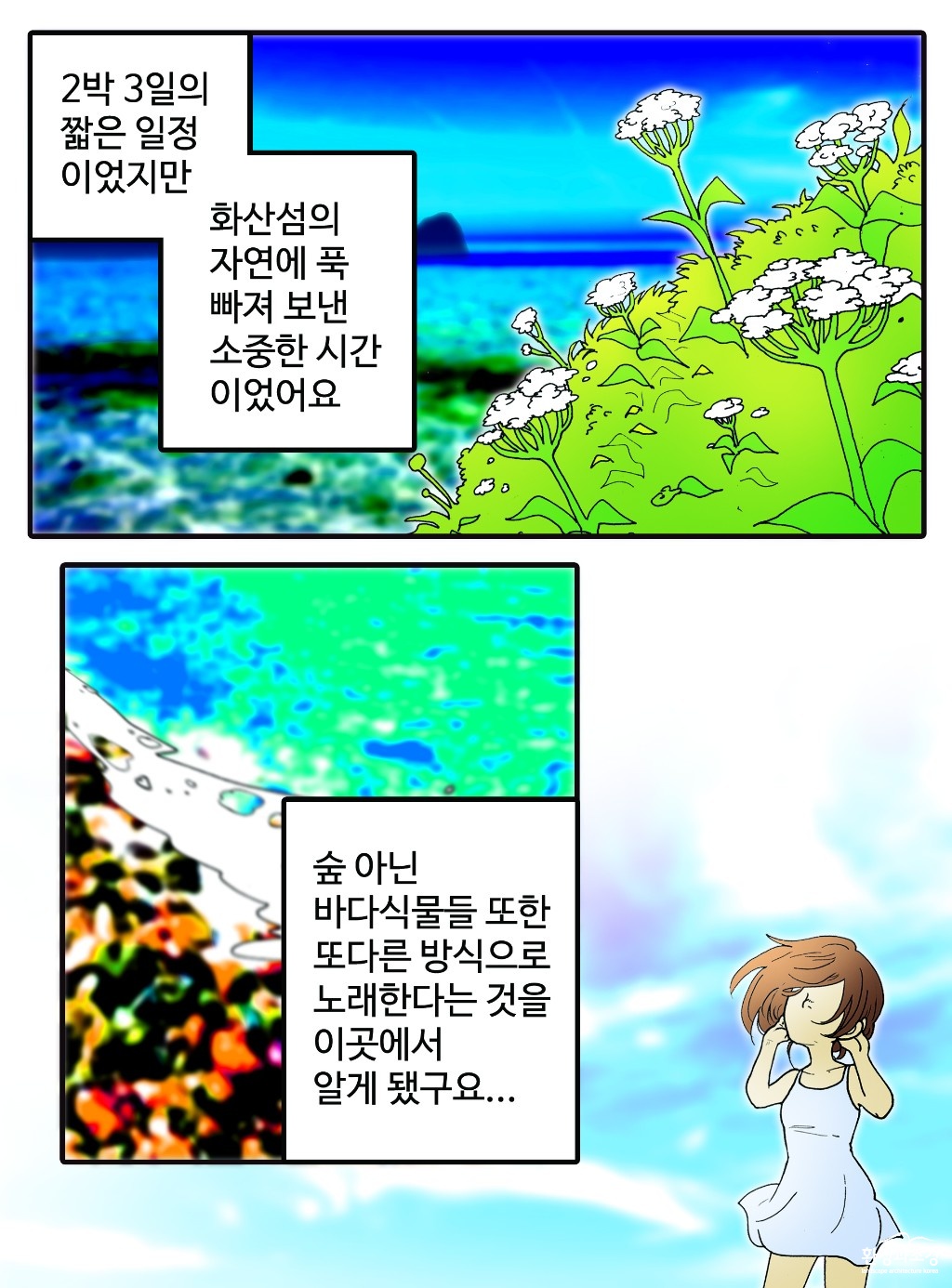 02.jpg