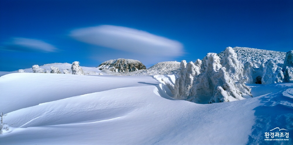 크기변환_image00006.jpg