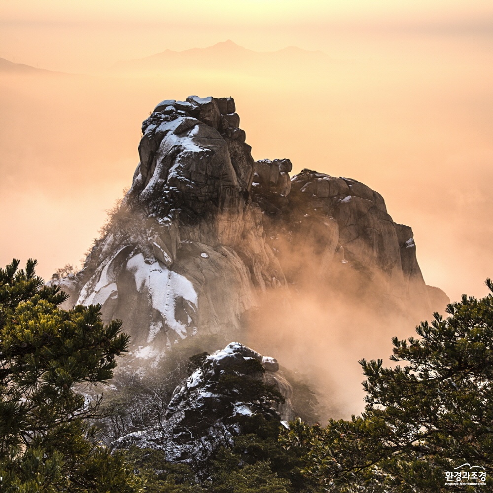 크기변환_image00005.jpg