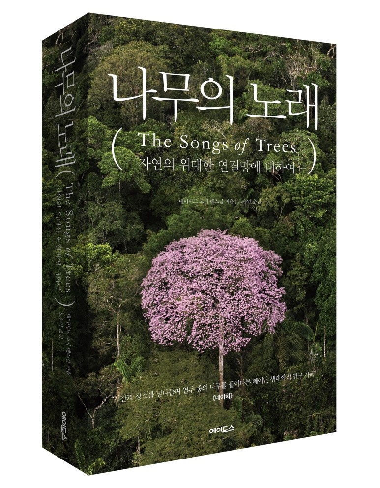 나무노래_입체.jpg