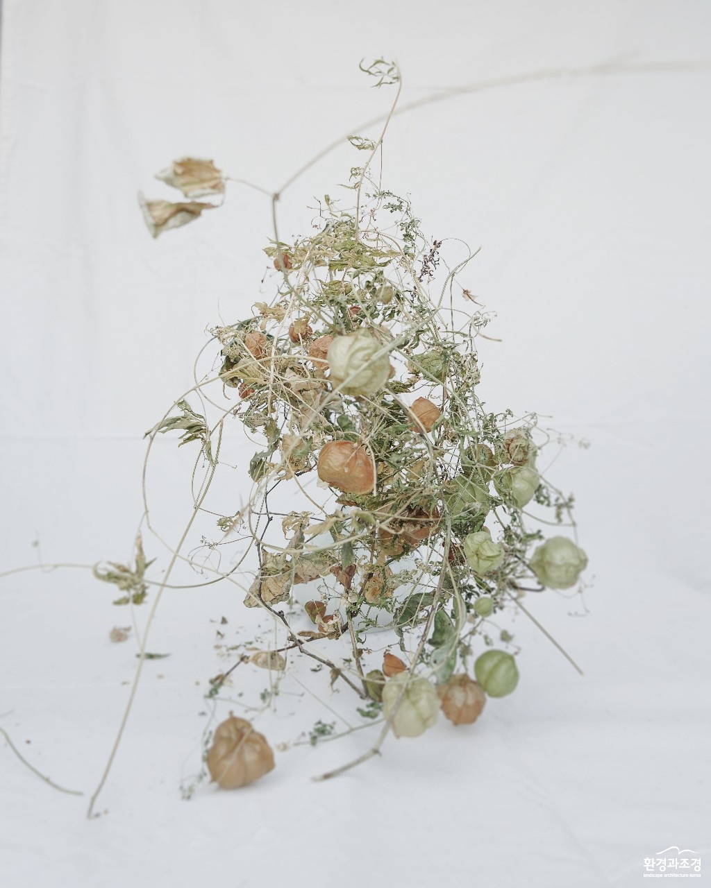 image00006.jpg