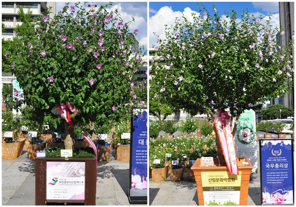 page.jpg