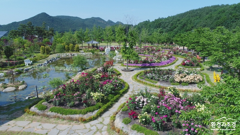 1.노근리 장미정원(드론) (1).jpg