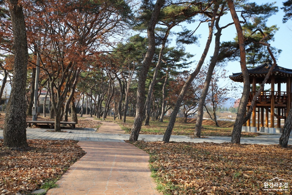 사진3. 의령 신포숲.jpg