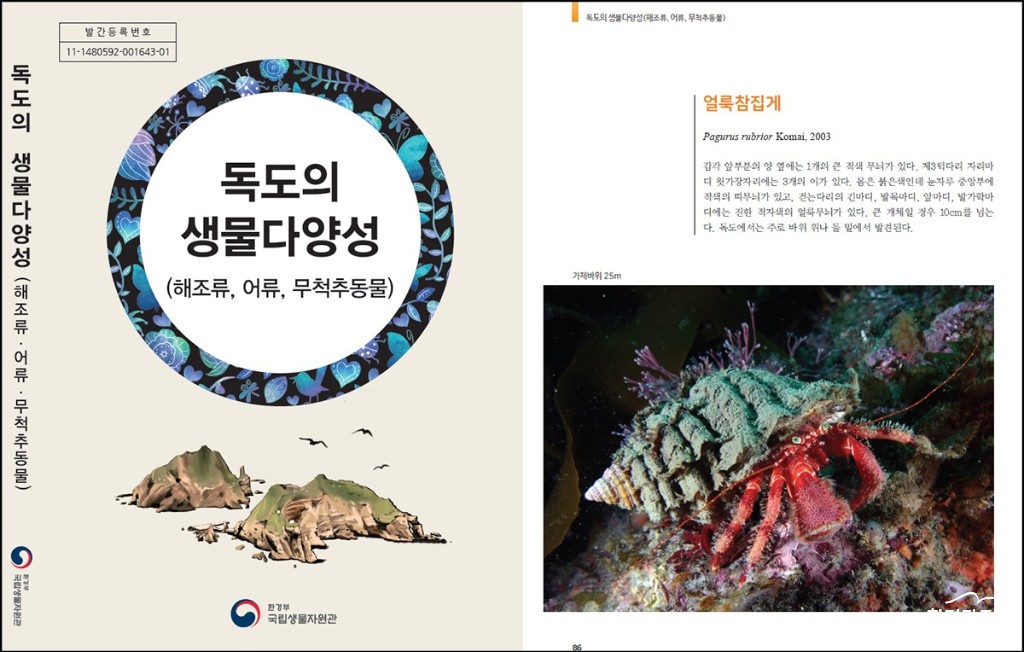 독도1.jpg