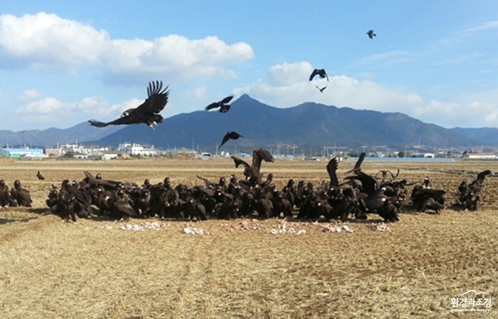 고성1.jpg