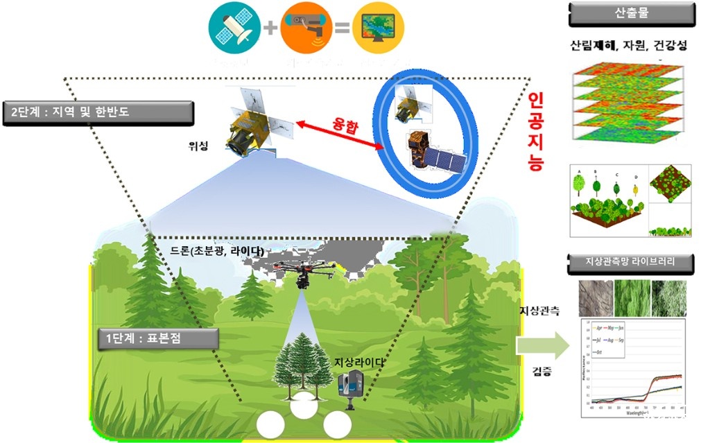 산림1.jpg