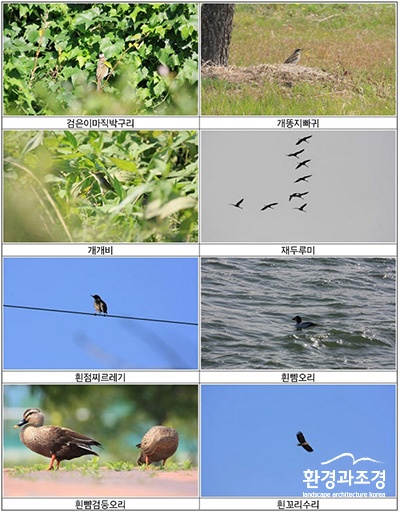 부산1.jpg