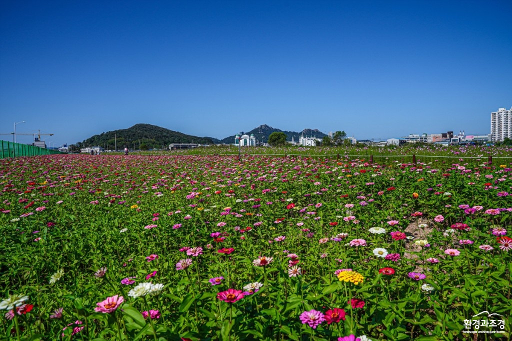 1-2.남항 꽃정원.jpg