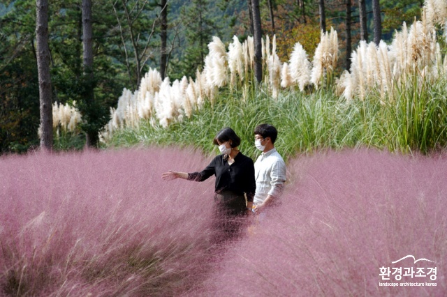 핑크뮬리jpg.jpg
