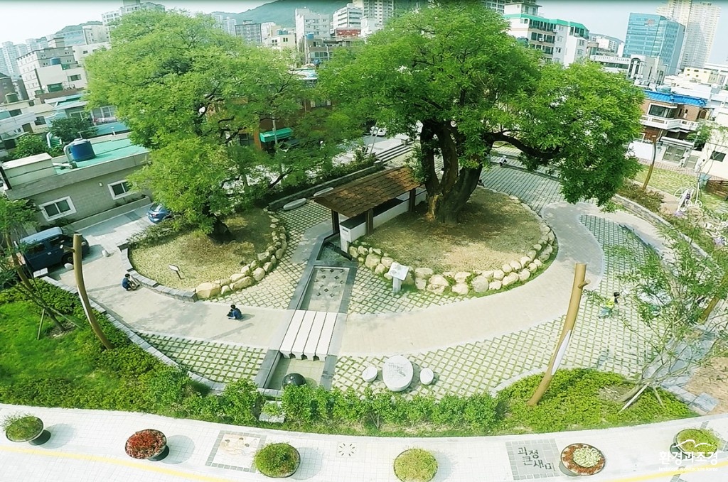 샘터공원 회화나무 보도.jpg