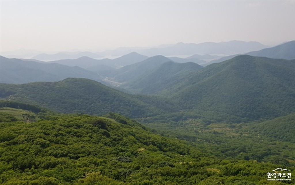 국유림일대 보도.jpg