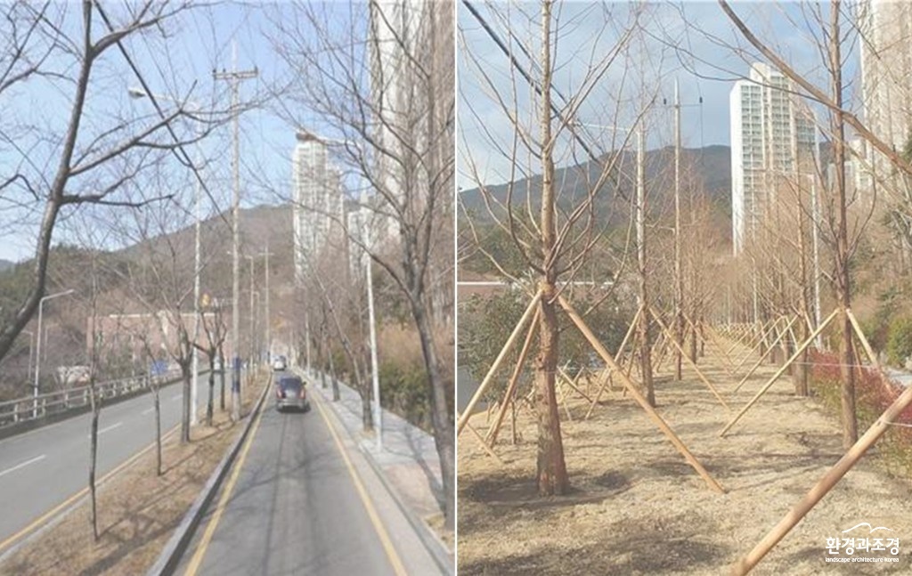 전-tile 보도.jpg