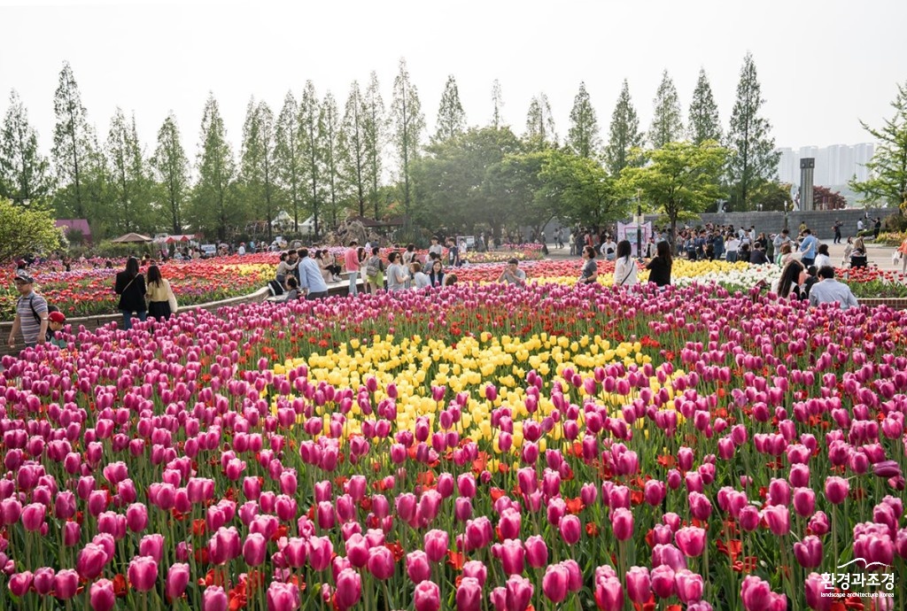 2019꽃박람회_튤립정원 보도.jpg
