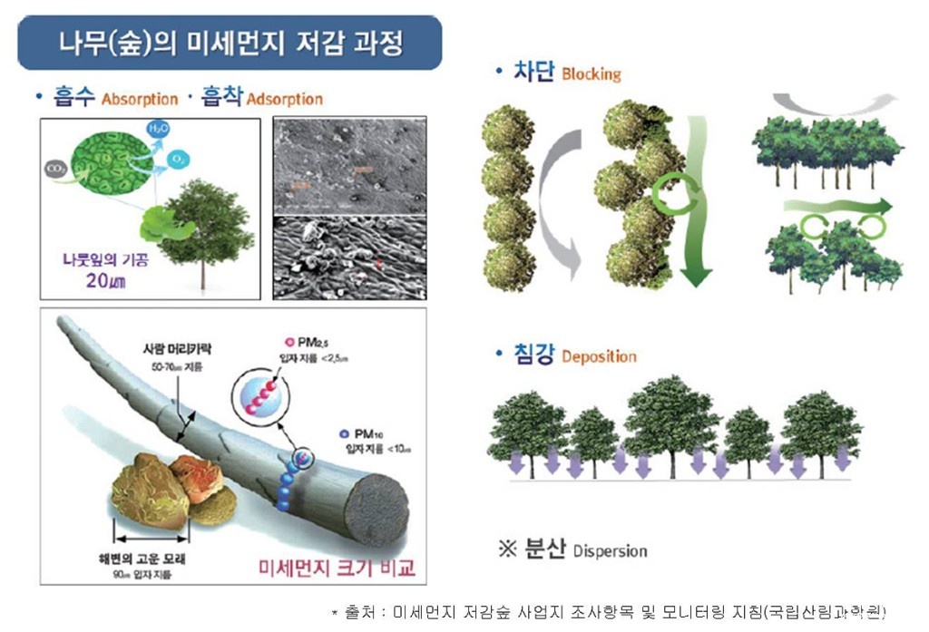 보도.jpg