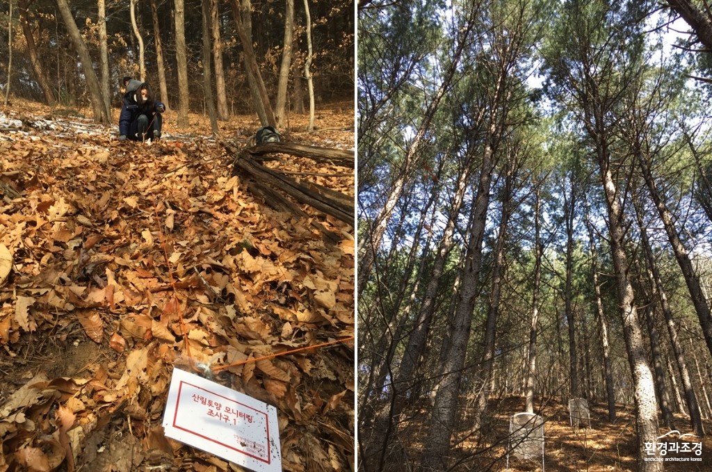 산림토양 조사 보도.jpg