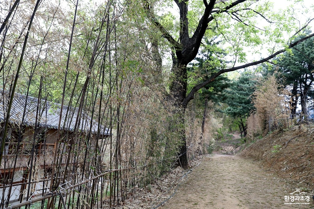 봉은사 힐링명상길 (2) 보도.jpg