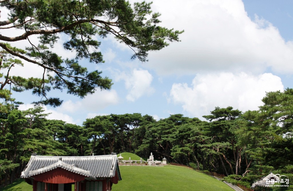 일대 보도.jpg