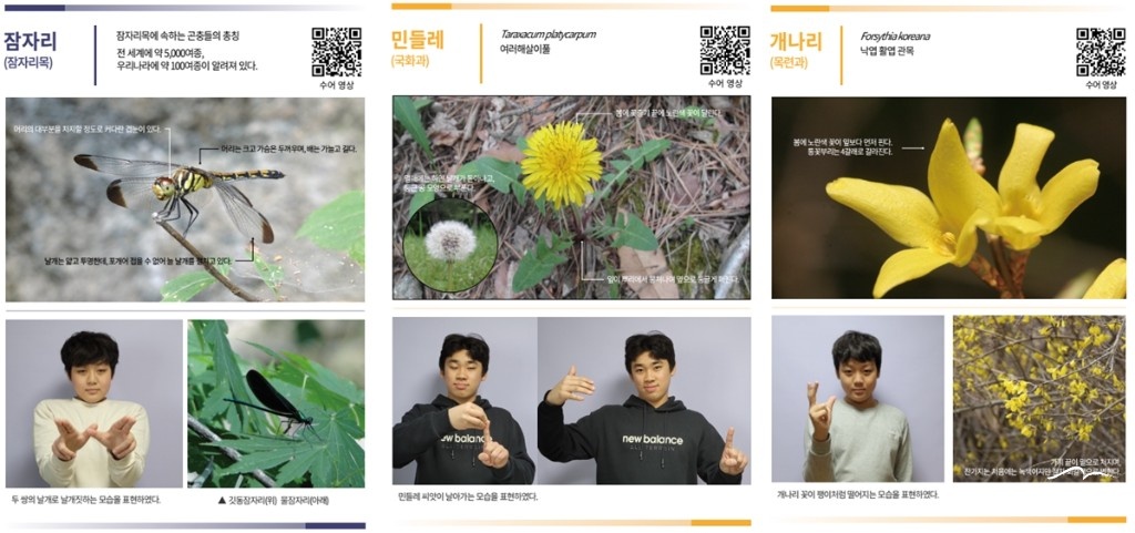 수어 보도.jpg