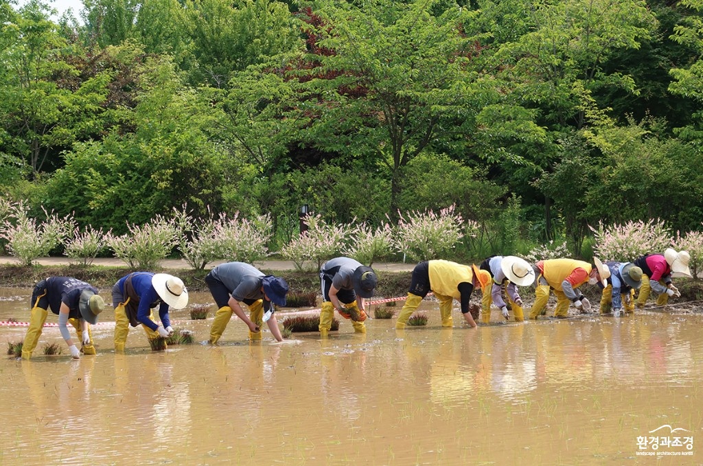 보도.jpg