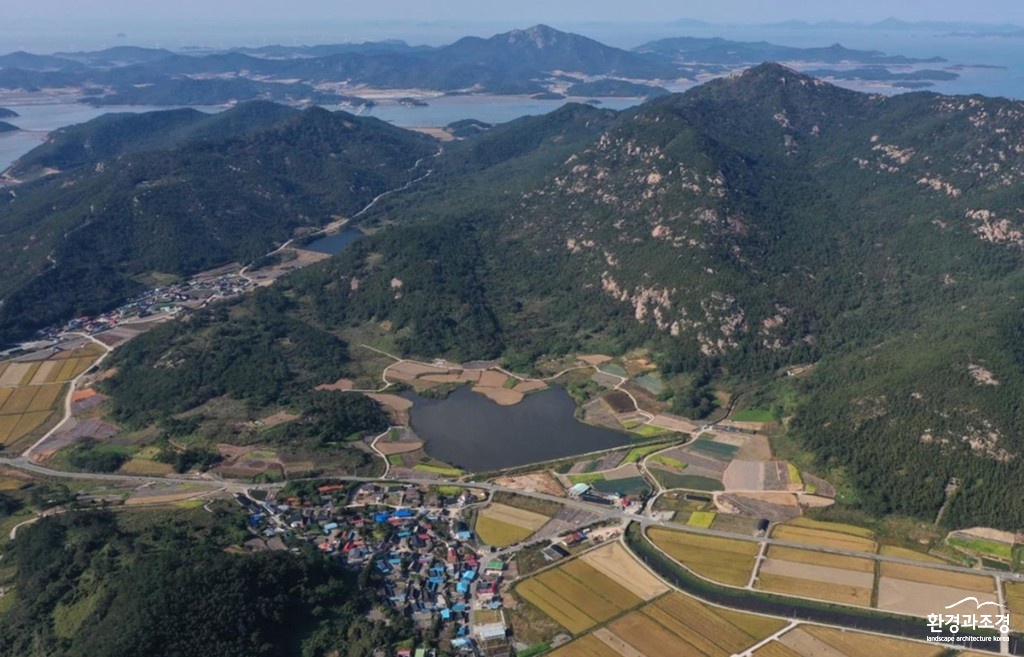 신안쓰 보도.jpg