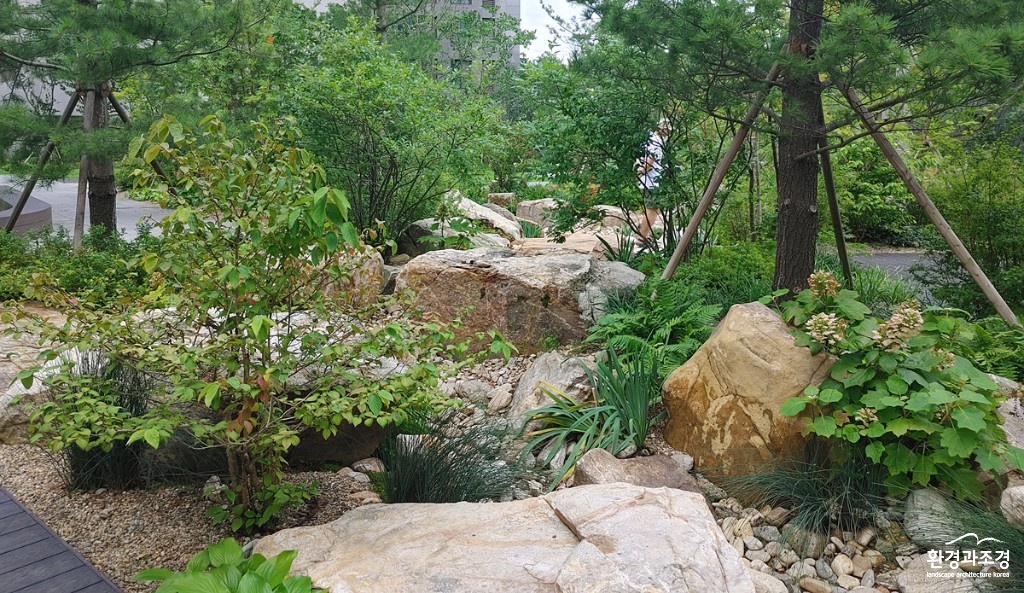 20200724_154026_HDR.jpg