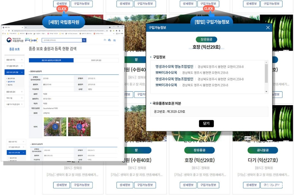 보도.jpg
