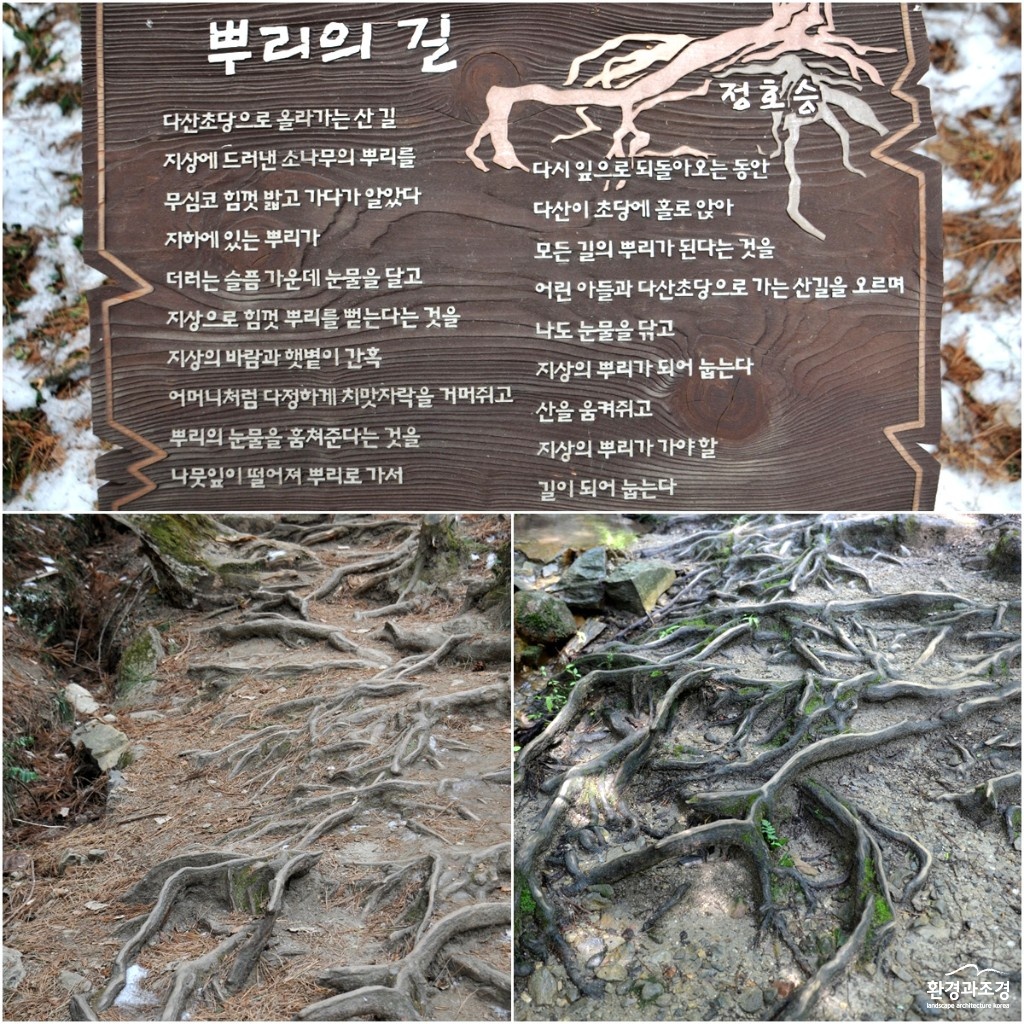 강철기 교수 제공.jpg