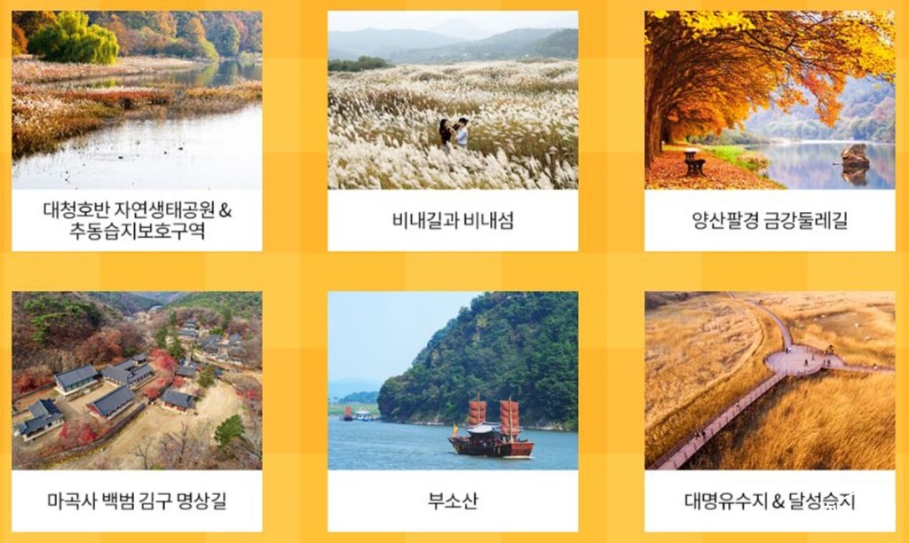 보도.jpg