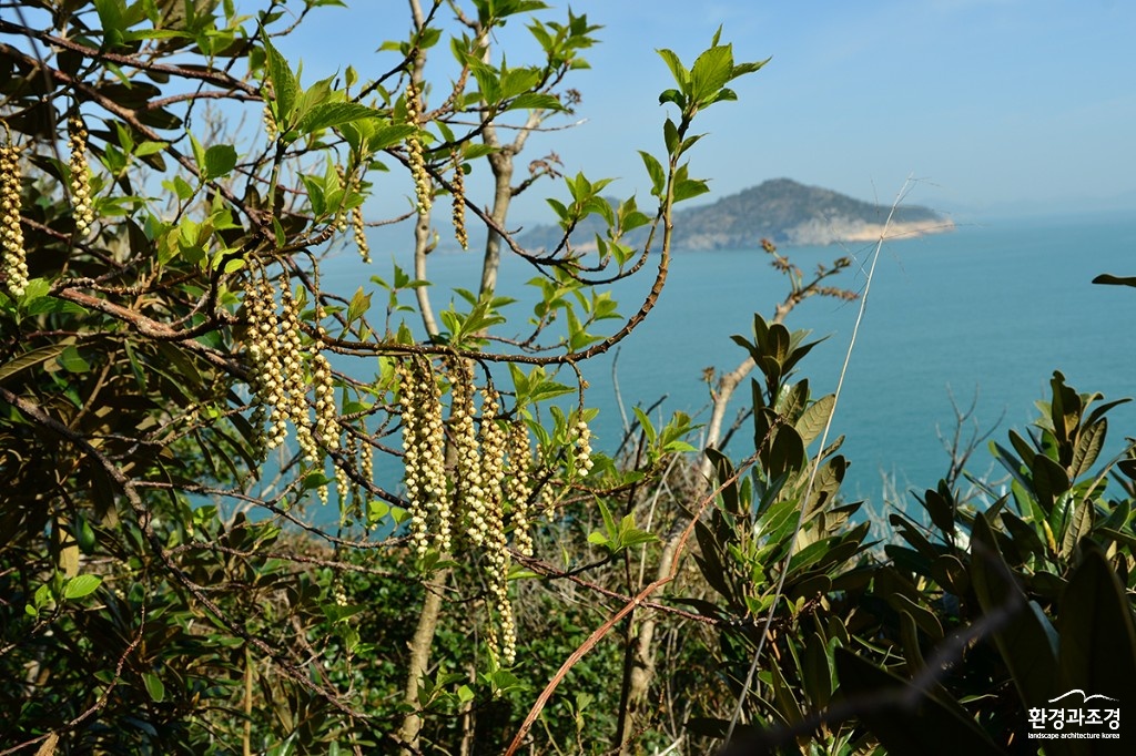 보도.jpg