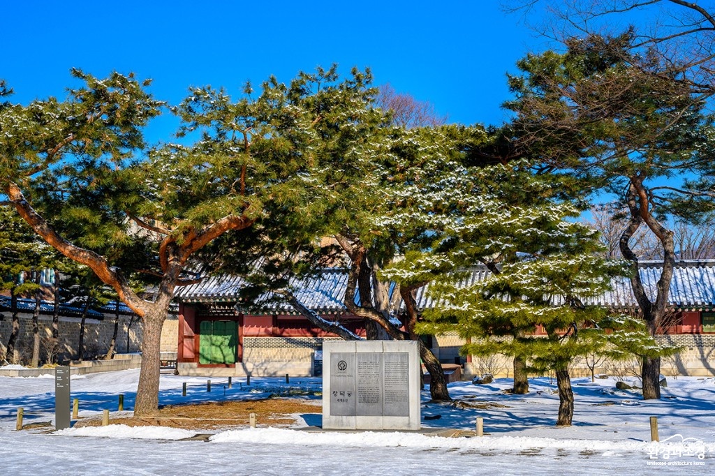 보도.jpg