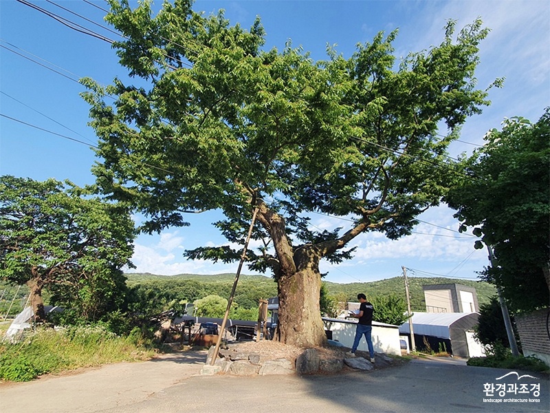 점검.jpg