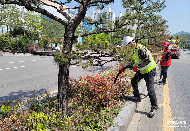 보도.jpg