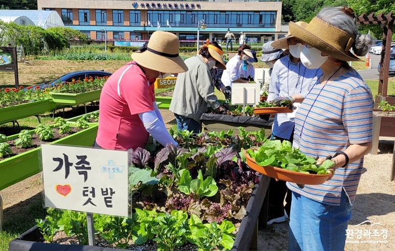 보도.jpg