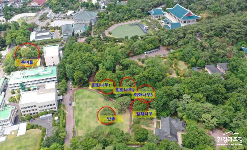 0824+『청와대+노거수+군』+천연기념물+30일+지정+예고(붙임2).jpg